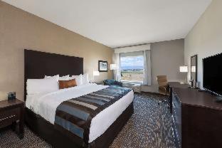 Wyndham Garden Orlando Universal / I Drive Pokoj fotografie